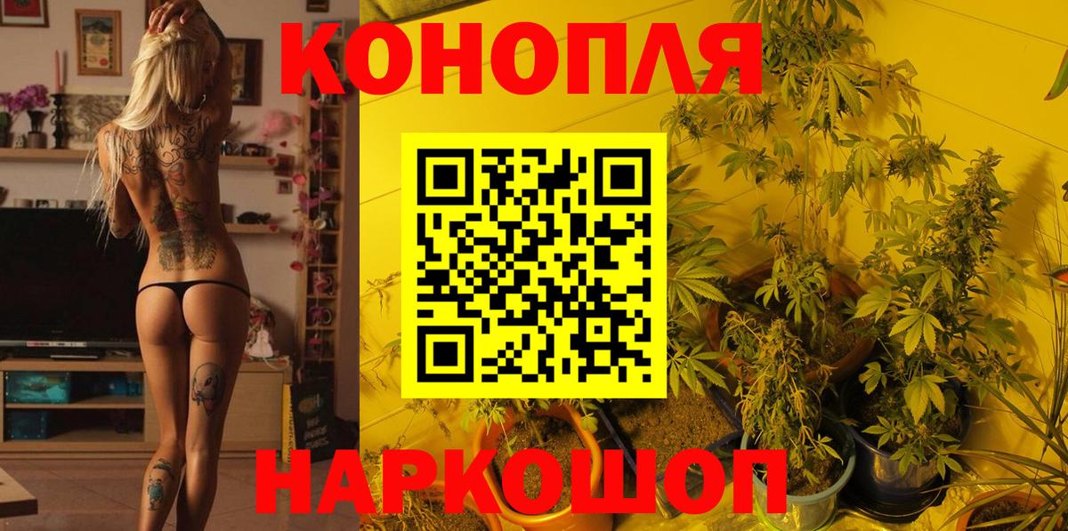 Марихуана Amnesia  Вход с VPN  Елизово  Канабис Ganja  Бошки марихуана Bruce Banner 
